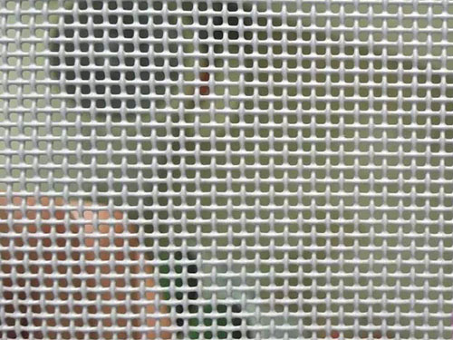 喷塑金刚网图片2